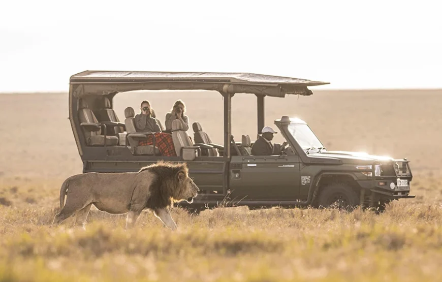 5 Days of Iconic Kenya – From Forest Canopies to Savannah Kings