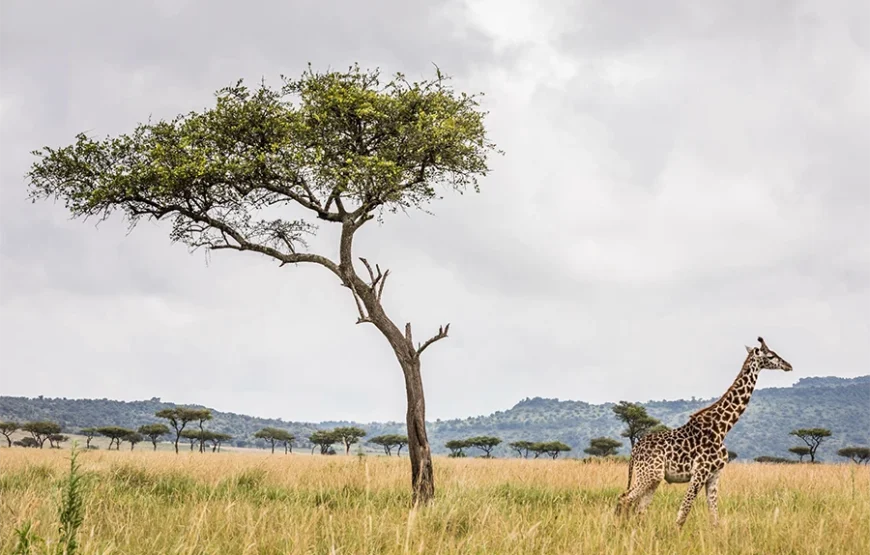 A 6 Days Journey Across Kenya’s Wild Heart