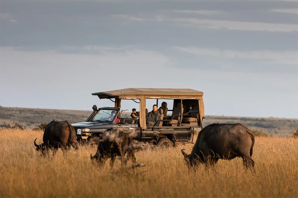 6 Days Kenyan Safari Through Nature’s Masterpieces