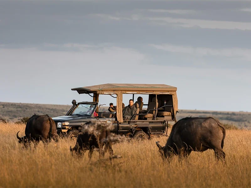 6 Days Kenyan Safari Through Nature’s Masterpieces