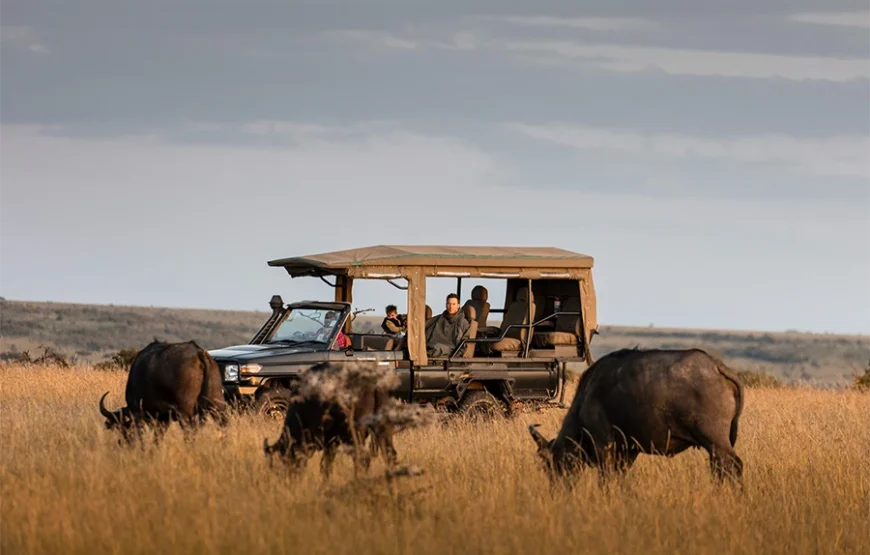 6 Days Kenyan Safari Through Nature’s Masterpieces