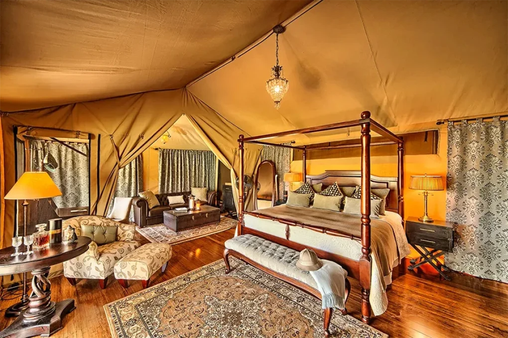 6 Days Safari Across Kenya’s Wild Soul