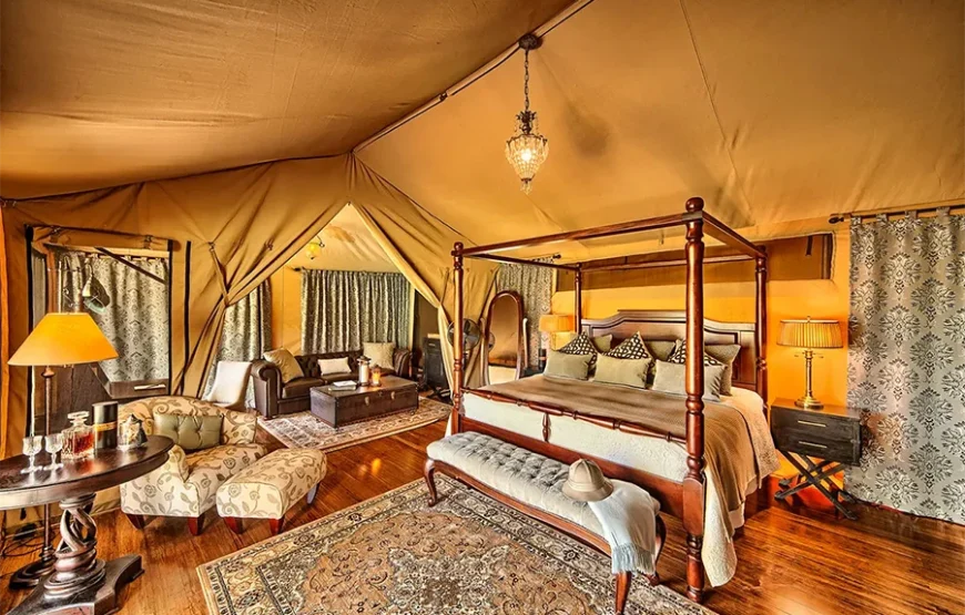 6 Days Safari Across Kenya’s Wild Soul