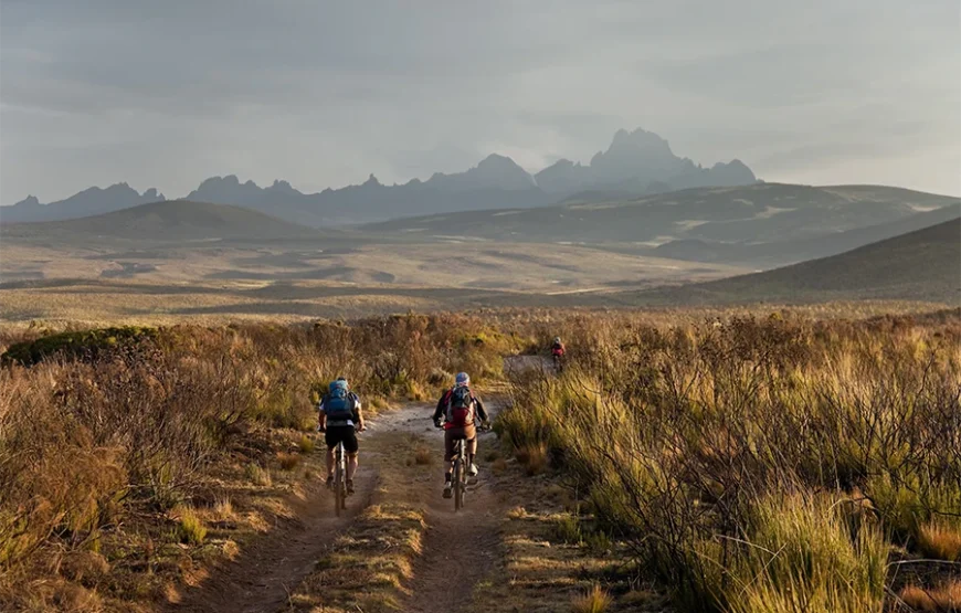 6 Days Mount Kenya Trek – Up Sirimon; Down Chogoria