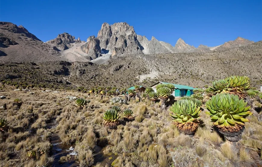 6 Days Mount Kenya Trek – Up Sirimon; Down Chogoria