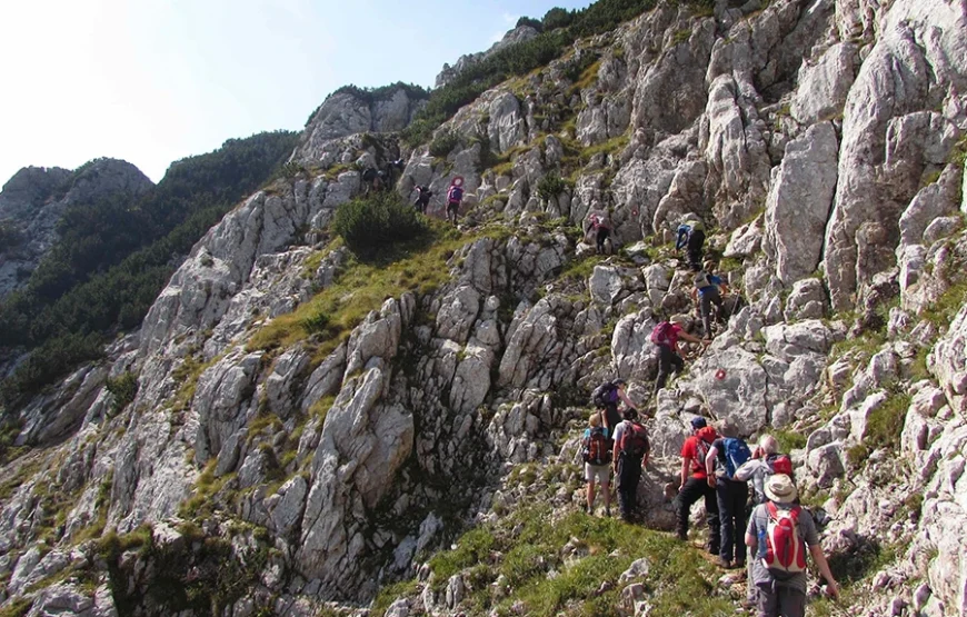 6 Days Mount Kenya Trek – Up Sirimon; Down Chogoria