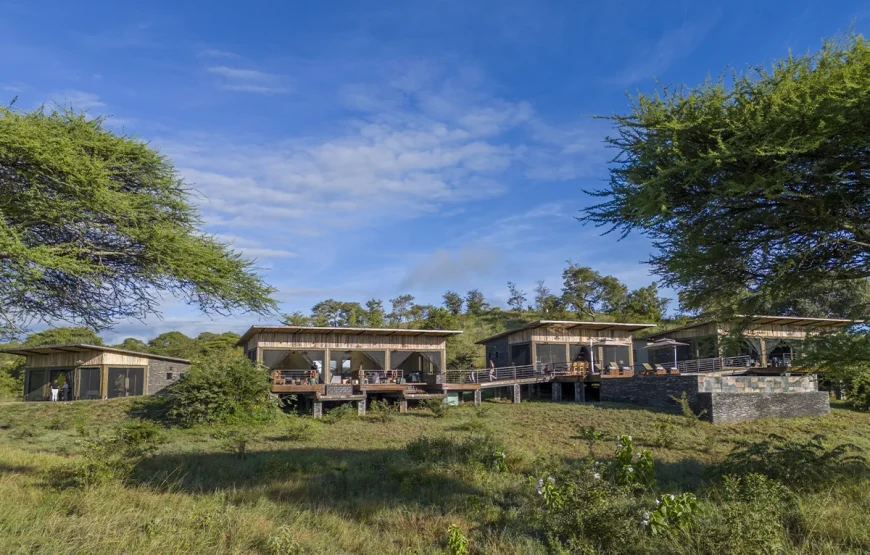 6 Days Ngorongoro, Lobo, Serengeti, Ndutu & Lake Manyara Tanzania Safari