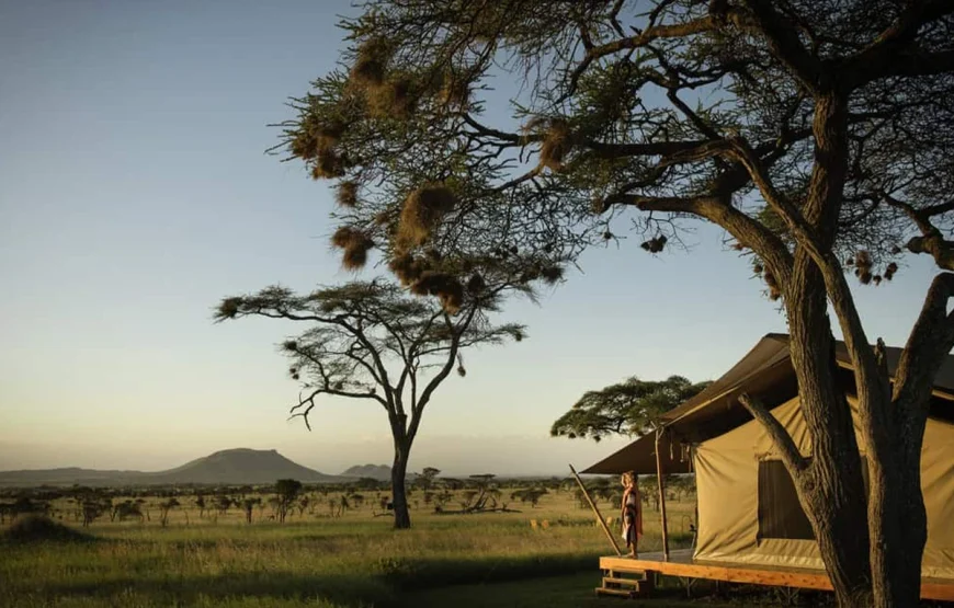 6 Days Ngorongoro, Lobo, Serengeti, Ndutu & Lake Manyara Tanzania Safari