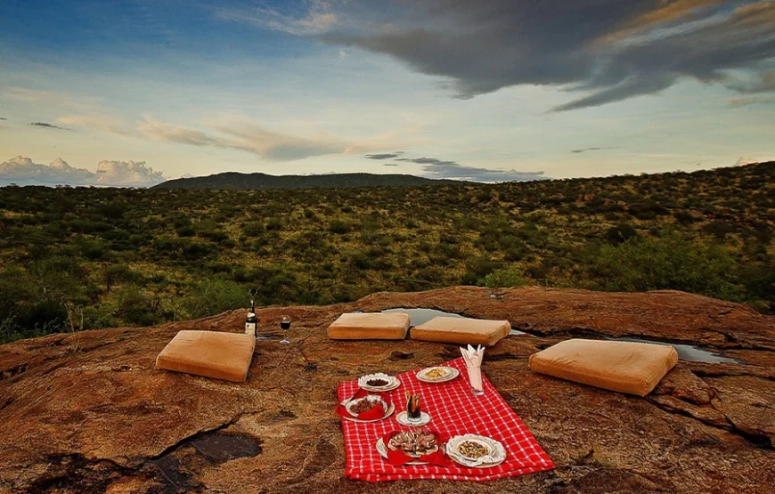 3 Days Fly-In Safari to Samburu National Reserve