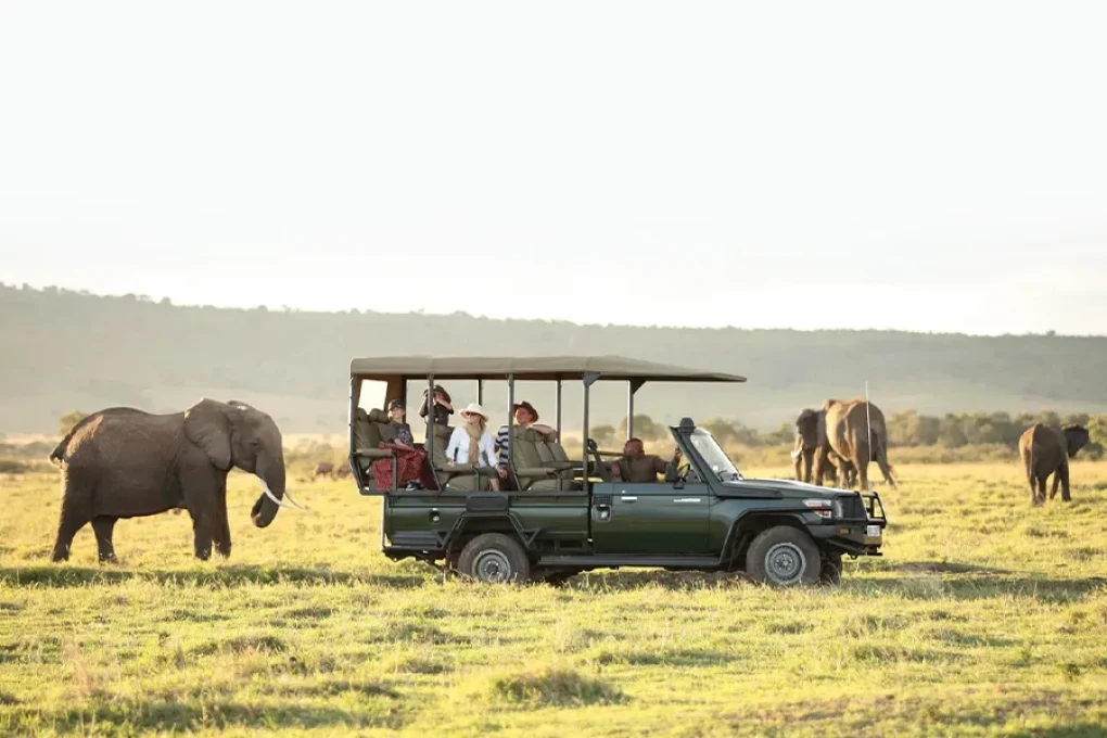 7 Day Kenyan Safari of Contrast and Wonder