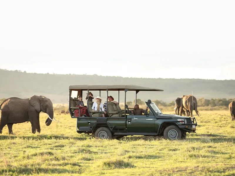 A 7 Day Kenyan Safari of Contrast and Wonder