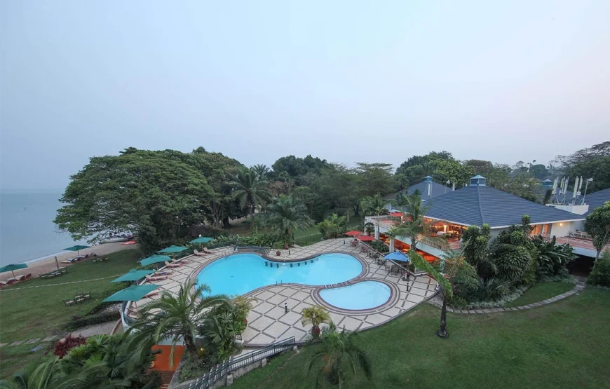 7 Days Rwanda Safari: Gorillas, Golden Monkeys & Forest Secrets