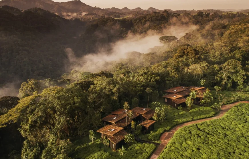 7 Days Rwanda Safari: Gorillas, Golden Monkeys & Forest Secrets