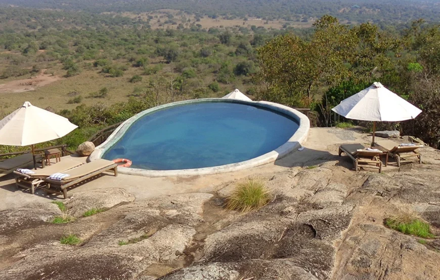 8 Days Uganda Gorilla Trek & Wildlife Safari