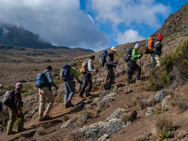 7 Days Mt. Kilimajaro Climbing – Umbwe Route