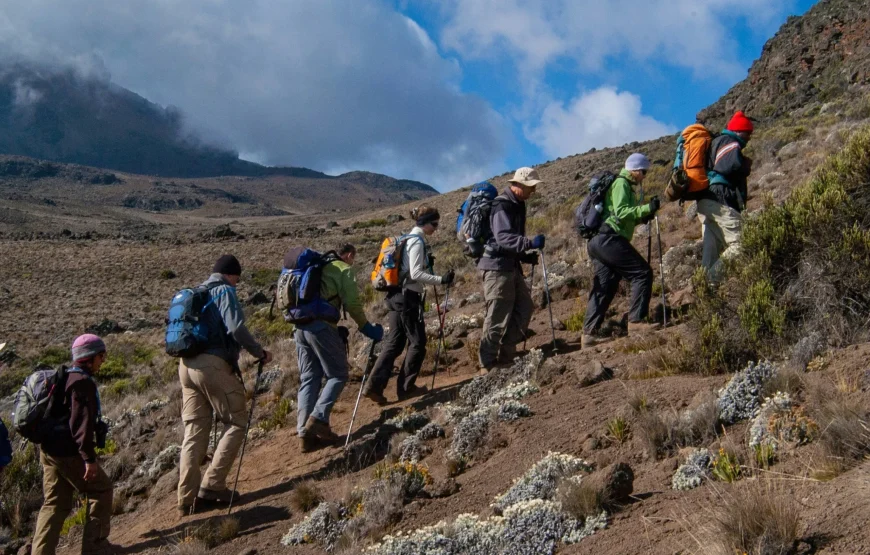 7 Days Mt. Kilimajaro Climbing – Umbwe Route