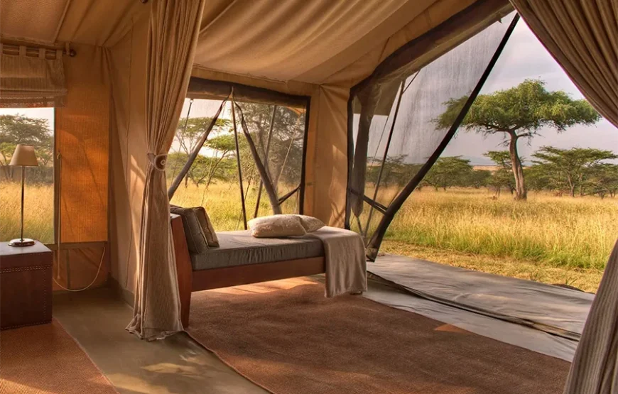 A Journey Through Kenya’s Wild Soul