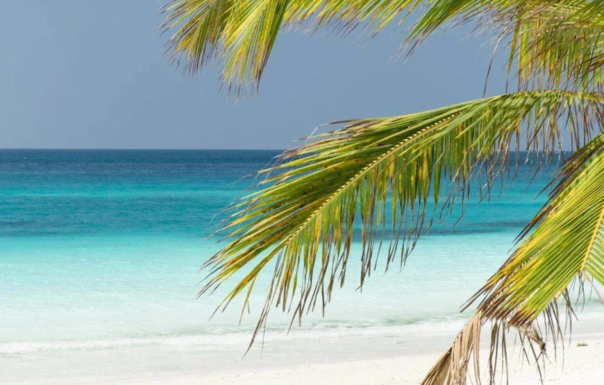 The Palms Zanzibar
